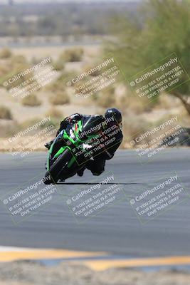 media/May-14-2023-SoCal Trackdays (Sun) [[024eb53b40]]/Turn 5 Tree of Life (1125am)/